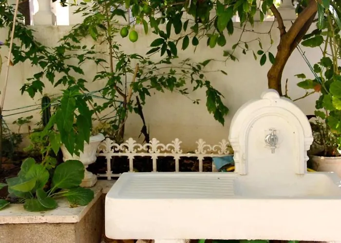 Jasmin * טרוגיר