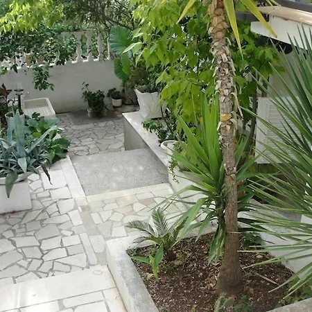 Jasmin تروغير