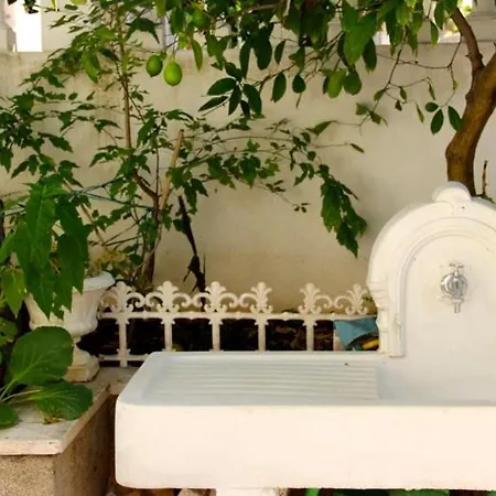 Jasmin * Trogir