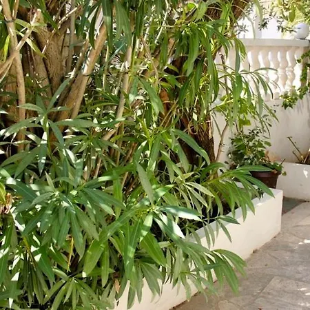 Apartment Jasmin
